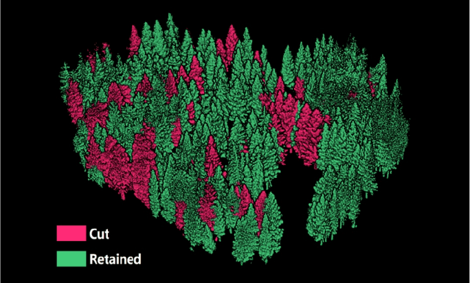 Forestry